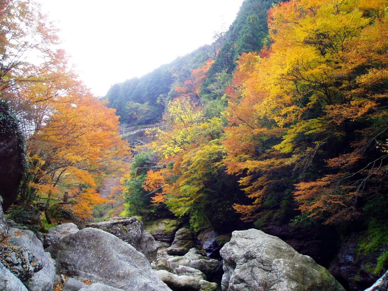 Nature Resort In Niyodo Niyodogawa Экстерьер фото