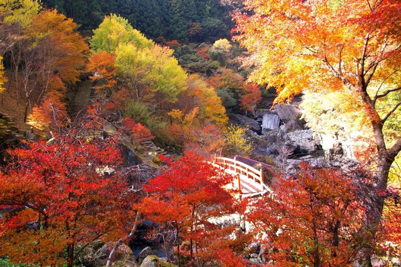 Nature Resort In Niyodo Niyodogawa Экстерьер фото