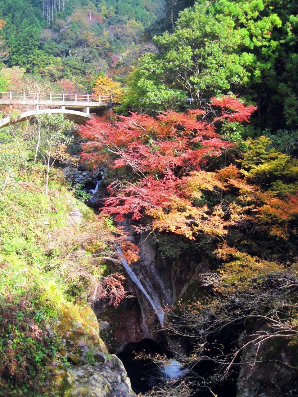 Nature Resort In Niyodo Niyodogawa Экстерьер фото